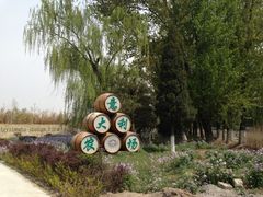 意大利农场-意大利农场度假村