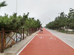 -日照海滨国家森林公园