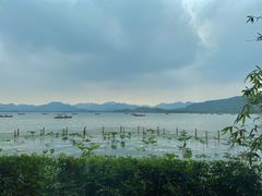 -湖畔居茶楼(湖滨店)