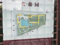 -嘉定紫藤园