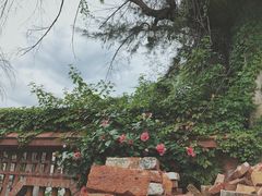 -伦教678文化街