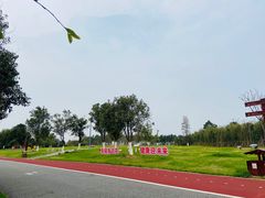 -瑶湖郊野森林公园