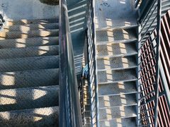 -春花秋色城市公园