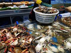 -半岛听涛蒸汽海鲜自助(K11店)