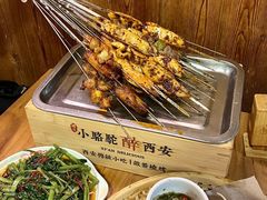 -福苗小骆驼烧烤(莲湖路店)