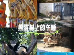 -深圳野生动物园