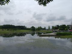 -两河城市森林公园