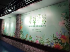 -广东中医药博物馆