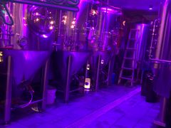 -Ambra Haus琥珀屋精酿餐厅(宝山店)