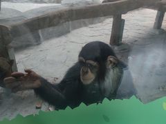 -武汉动物园