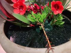 -旺顺阁海鲜广场(亚运村店)