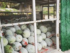 -红旗山庄(圭峰山店)