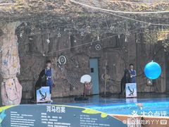 -灵玲国际马戏城