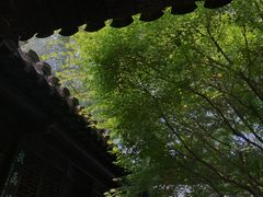 -南京市民俗博物馆(甘熙故居)