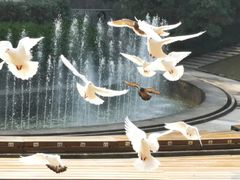 -侵华日军南京大屠杀遇难同胞纪念馆