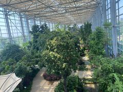 -祥源·阜阳生态乐园