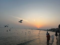 -老虎石海上公园