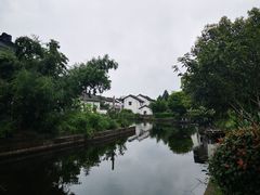 -大莲湖农家乐(青西郊野公园店)