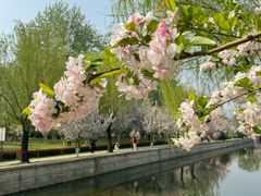 -海棠花溪(元大都城垣遗址公园)