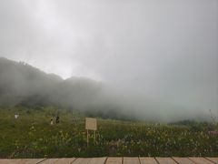 -白草畔自然风景区