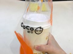 -CoCo都可(金狮店)