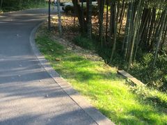 -苏州环秀晓筑养生度假村