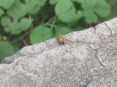 -碓臼峪自然风景区