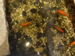 -邈墨茶馆(凤起路店)