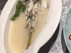 -沈灶河豚宴·河豚融合餐厅(汉中路店)