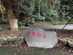 -潜山国家森林公园