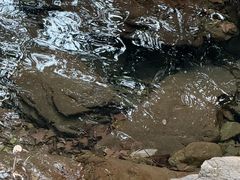 -宁波五龙潭景区