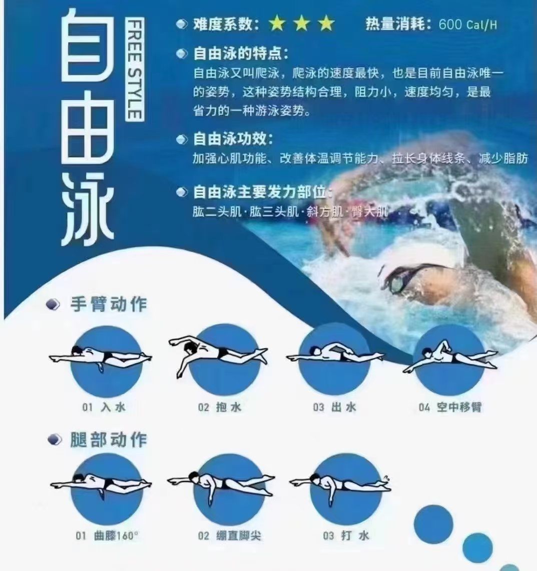 各有各的特点,各有各的好处#享受运动带来的快乐 #学游泳 #每天坚持