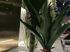 -兰湘子·湘菜小炒(崂山丽达店)