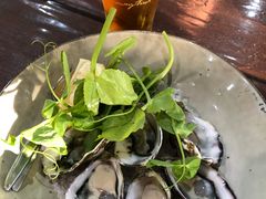 -12 Rocks Beach Bar Cafe