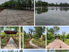 -杨柳青庄园