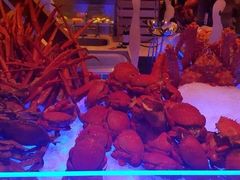 -万达文华酒店·48F云端窗景美食汇自助餐厅