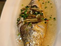 -老洋房花园饭店(绍兴路店)