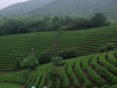 -帐篷客·溪龙茶谷度假酒店