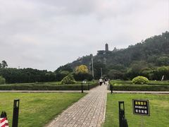 -南沙蒲洲花园