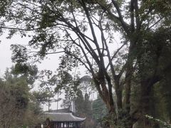 -成都杜甫草堂博物馆