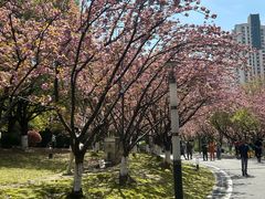 -苏州河梦清园环保主题公园