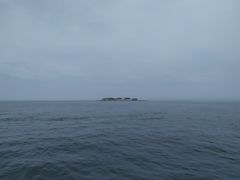-渔中舟海鲜大排档(普陀沈家门店)