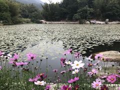 -大雁山风景区