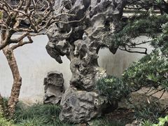 -秋霞圃
