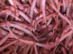 -崖口红树林海鲜餐厅