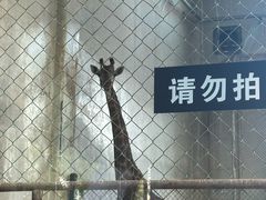 -太原动物园
