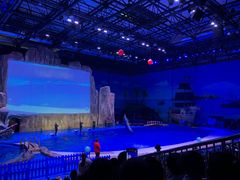 -华夏文旅海洋公园