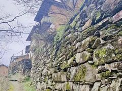 -新安江山水画廊风景区