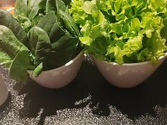 -葛记红焖羊肉(和平路形象店)