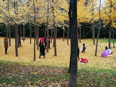 -咸阳湖景区-古渡公园